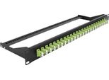 Delock - Patch Panel - Rack Montierbar - Lc Duplex Mm X 24 - Schwarz, HellgrüN - 1U - 48.3 Cm (19")"