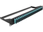 Delock - Pannello Patch - Montabile A Rack - Sc Duplex Mm X 24 - Nero, Acquamarina - 1U - 48,3 Cm (19")"