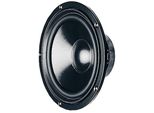 Visaton W 200 S 8 Pollici 23,2 Cm Woofer 75 W 4?, 9029, Nero