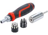 Bgs Technic Set Di Punte Di Precisione E Di Chiavi Universali - 17 Pezzi - 20817