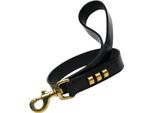 Guinzaglio Per Cani Gloria Duna 2,5 X 60 Cm Nero