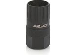 Collettore Pignoni Xlc TO-S17 Shimano Freehub Hg