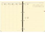 Quo Vadis 932004Q Quo Vadis Ricarica "Timer 29 Prestige"", 2025/2026, 16 Mesi"