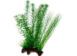 Hobby Flora Radice 2, L, 30 Cm