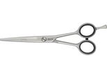 Jaguar White Line Satin Classic Forbici Da Parrucchiere Lunghezza 6,5 Pollici Argento 0,031 Kg
