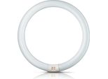 Philips Tubo Fluorescente Master TL-E Circolare - C-T9, 830 Bianco Caldo - 40W