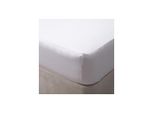 Lenzuolo Teso Belledorm, Titolo 200 Fili, Cotone Egiziano BM113 (Letto Singolo) (Bianco)