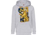Felpe Con Cappuccio Per Bambini Saint Anime Seiya Leo Aiolia 001, 5-6 Jahr - 116 / Gris