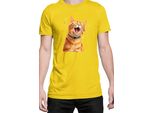 Maglietta Da Uomo Funny Cats Breeds American Shorthair Cat, Man 2XL , Jaune