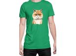Maglietta Da Uomo Funny Cats Breeds Exotic Shorthair Cat, Man 2XL , Vert