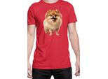 Maglietta Da Uomo Dogs Breeds Pomeranian Dog Breed 005, Man S , Rouge