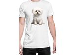 Maglietta Da Uomo Dogs Breeds Maltese Dog Breed 006, Man 4XL , Blanc