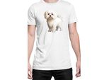 Maglietta Da Uomo Dogs Breeds Maltese Dog Breed 005, Man Xl , Blanc