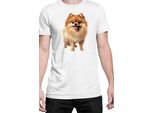 Maglietta Da Uomo Dogs Breeds Pomeranian Dog Breed 005, Man Xl , Blanc