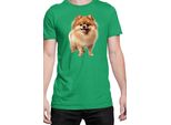 Maglietta Da Uomo Dogs Breeds Pomeranian Dog Breed 005, Man Xl , Vert
