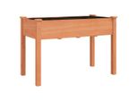 Vidaxl Fioriera Con Inserto Marrone 118X59X76 Cm In Legno Massiccio D'abete