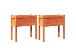 Vidaxl Fioriera Con Gambe 2 Pz. Legno Di Pino Massiccio Marrone Cera