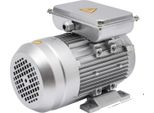Motore Elettrico, 1 Cv, Potenza 750 W, Velocità 1380 Giri/Min, Argento