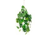 Kunstpflanze I.Ge.A. "KüNstliche Monstera HäNgende Splitphilo HäNgeampel", GrüN, B:42Cm H:87Cm L:34Cm, Polyester, Kunstpflanzen, Kunstpflanze, Zimmerpflanze Busch Dekopflanze GrüNpflanze Seidenpflanze Dekopflanze