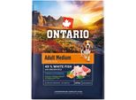 Ontario Adulto Pesce Medio