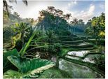 2000-Piece Puzzle In The Heart Of Bali. Adults And Children From 14 Years Old. Escape Collection. 12001518. Nathan