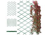Supporto Per Piante Da Giardino Supporto Per Piante Supporto Per Fiori 200X100 Cm