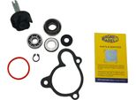 Kit Revisione Pompa Acqua Magneti Marelli Per Yamaha Majesty 250/300