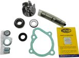 Kit Revisione Pompa Acqua Magneti Marelli Per Kymco