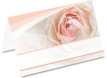 Pricaro Segnaposto "Rosa"", 50 Pezzi"