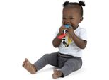 Baby Einstein Zebra Zen™ Shake-A-Shape Senza Bpa 0M+