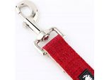 Guinzaglio Solido Tradizionale Per Cani Huggy Doggy 1,52 M M