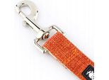 Guinzaglio Per Cani Bello, Leggero E Solido, 1,52 M, Huggy Doggy M