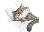 Stickset - Cosa Sognano I Gatti?