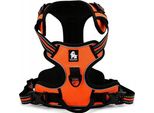 Addestramento Imbracatura Per Cani Truelove Front Line S