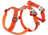 Pettorina Anti-Fuga Per Cani Da Guardia Winhyepet Xl