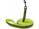 Guinzaglio Forte Neon Per Cani Truelove Giallo 200Cm L