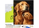 Oh Art! Pittura Numerica Per Adulti Con Cornice 40X50 Cm- Golden Retriever Duo - Set Fai Da Te Con Motivi Canini: Tela, 20 Colori Acrilici, 3 Pennelli & Accessori