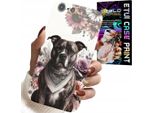 Custodia Per Iphone 5 / 5S / 5C - Pitbull Dangerous Dogs Back Case