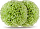 Set Di 2 Palline Di Bosso, Palline Decorative Resistenti Ai Raggi Uv, Pianta Artificiale Topiaria, Pianta Decorativa, Diametro 28 Cm, Verde