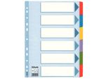 Esselte 100168 Cartone Indice Vuoto A4 6 Pezzi Multicolore