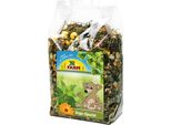 Jr Farm Degu Special 500Gx4