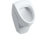 Geberit Renova Urinoir EntréE Par LarrièRe, Sortie Vers LarrièRe, 235300600, 235300600
