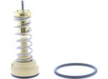 Termostato, Liquido Di Raffreddamento Audi A1, A3, Octavia Golf, Passat