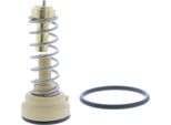 Termostato, Liquido Di Raffreddamento Audi A3, Golf, Passat Touran, Octavia