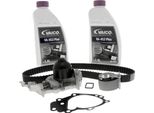 Set Pompa Acqua + Cinghia Di Distribuzione Renault Clio Ii,Iii,Iv,Logan Kangoo, Twingo