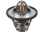 Termostato Refrigerante Metzger Per Nissan Navara NP300