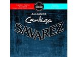 Savarez 510 Alleanza Arj Cantiga