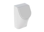 Geberit Absaug-Urinal Renova Plan Mit Deckel Zulauf Und Abgang Hinten Weiß