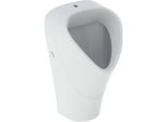 Geberit Renova Urinoir Trigonal, EntréE Par Le Haut, Sortie Vers LarrièRe, 501.675.00.8, 501.675.00.8