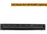 Effetto Faretto Da Palcoscenico, Tecnologia Led Rgbw, Controllabilità Dmx, Fascio Led 8X12W, Spina Ue